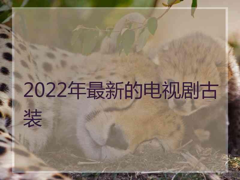 2022年最新的电视剧古装