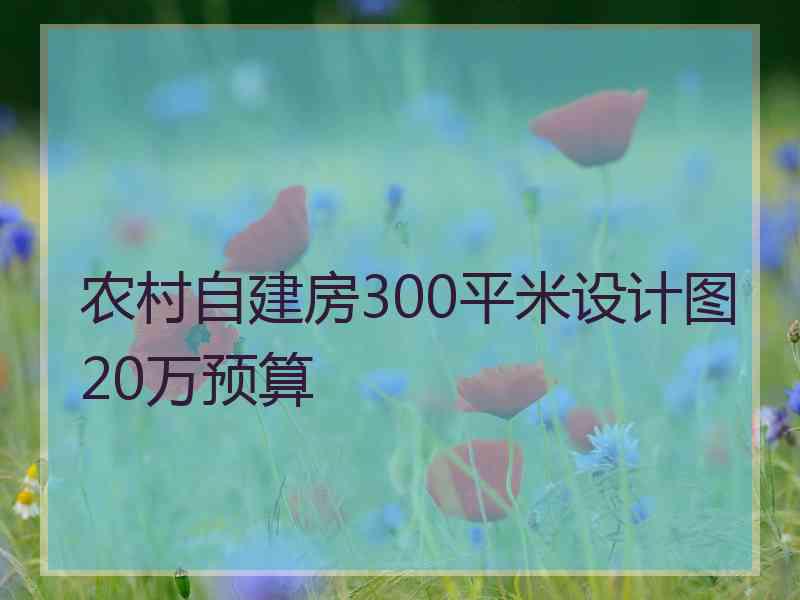 农村自建房300平米设计图20万预算