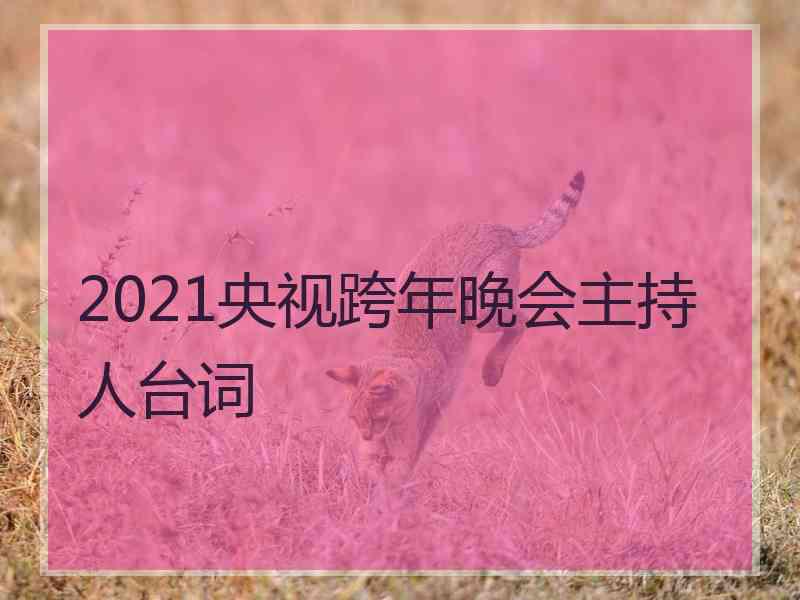 2021央视跨年晚会主持人台词