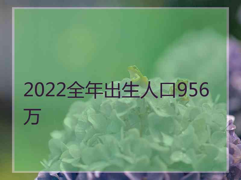 2022全年出生人口956万