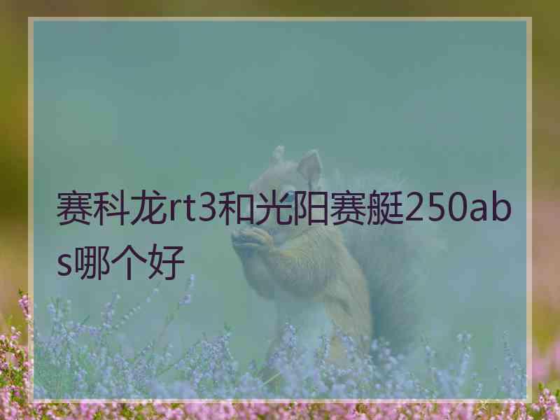 赛科龙rt3和光阳赛艇250abs哪个好