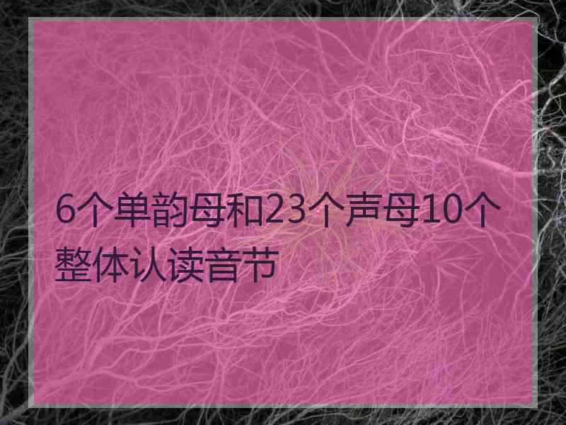 6个单韵母和23个声母10个整体认读音节