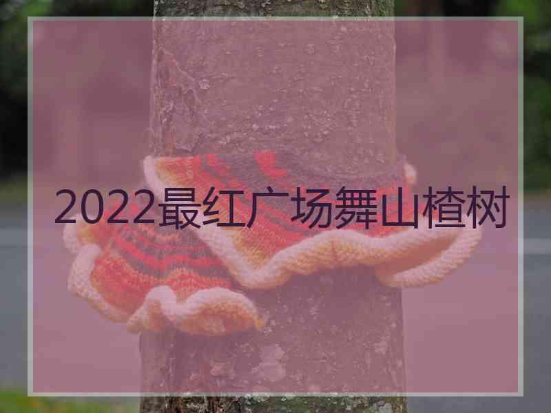 2022最红广场舞山楂树