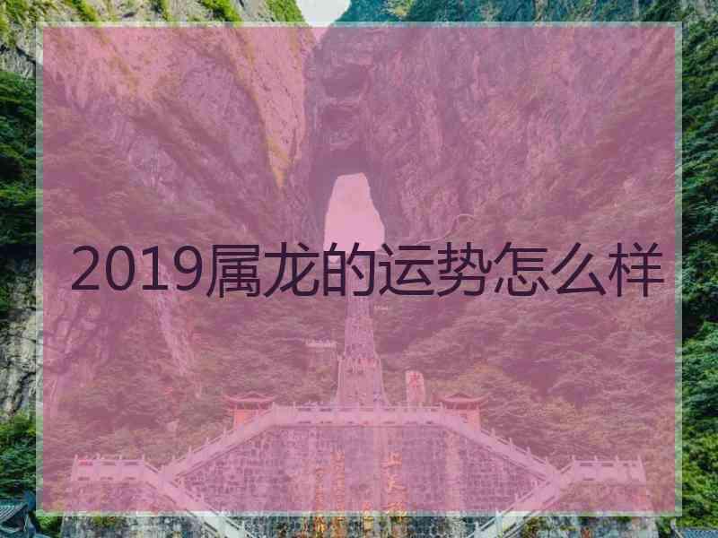 2019属龙的运势怎么样