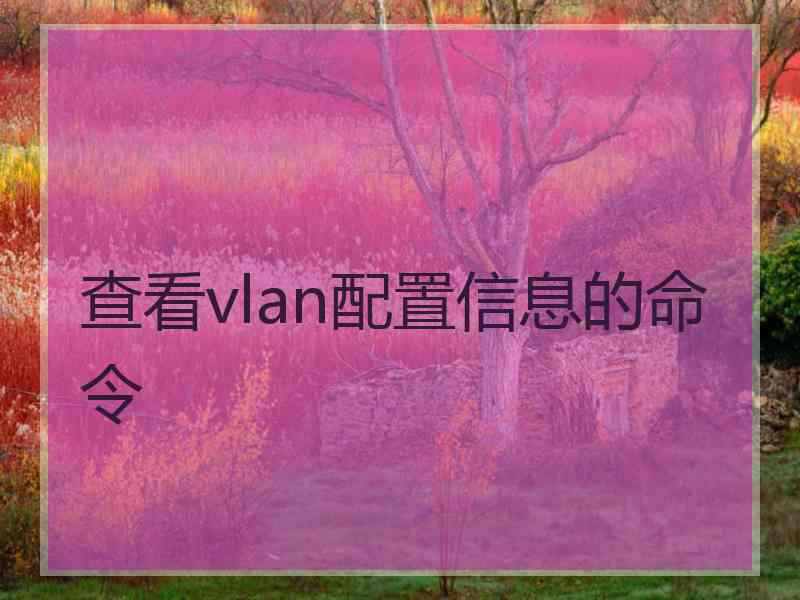 查看vlan配置信息的命令