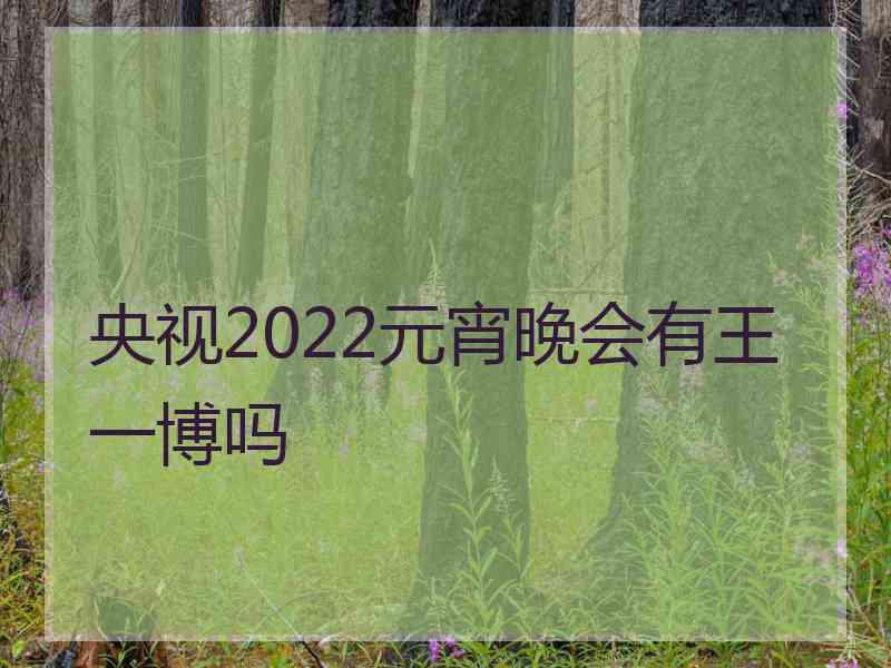 央视2022元宵晚会有王一博吗