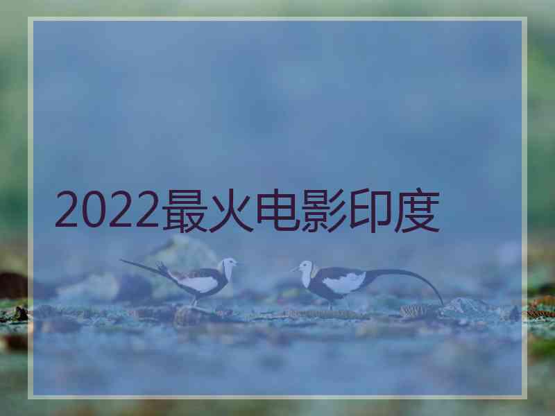 2022最火电影印度