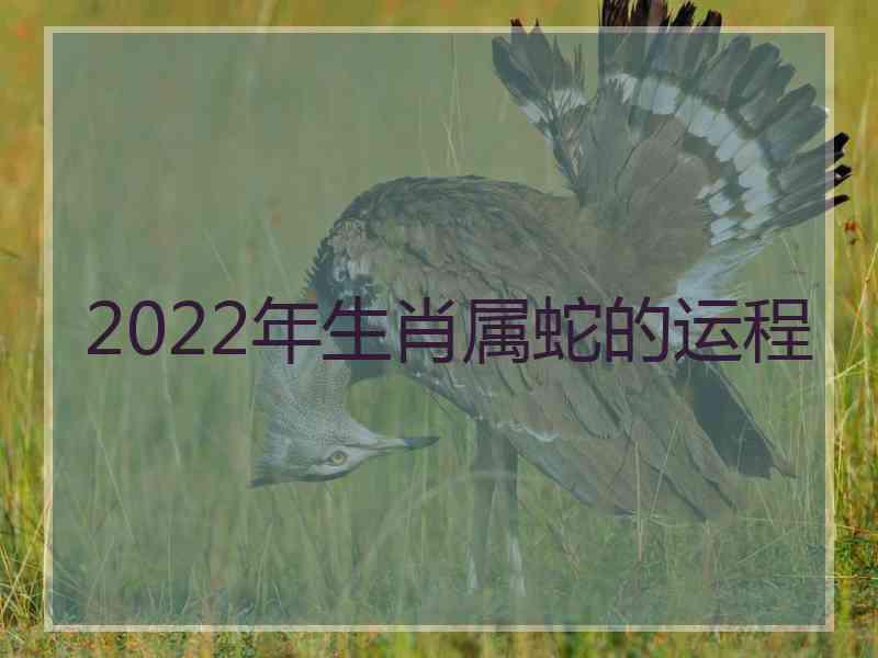 2022年生肖属蛇的运程