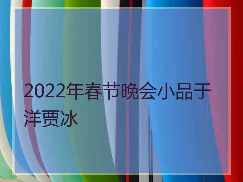 2022年春节晚会小品于洋贾冰