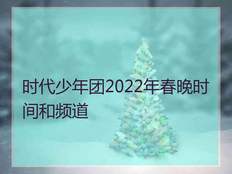 时代少年团2022年春晚时间和频道