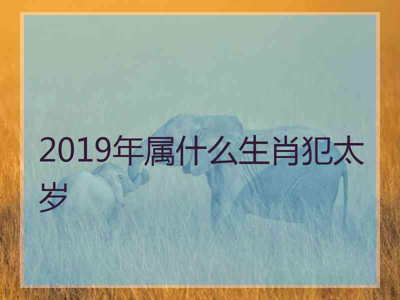 2019年属什么生肖犯太岁