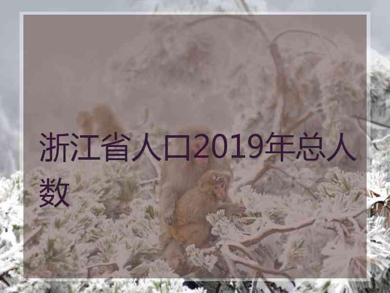 浙江省人口2019年总人数