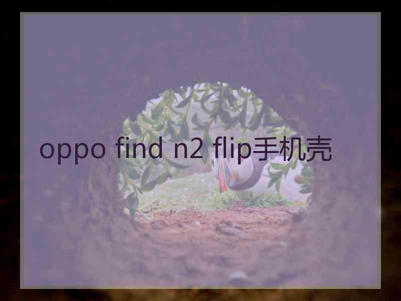 oppo find n2 flip手机壳