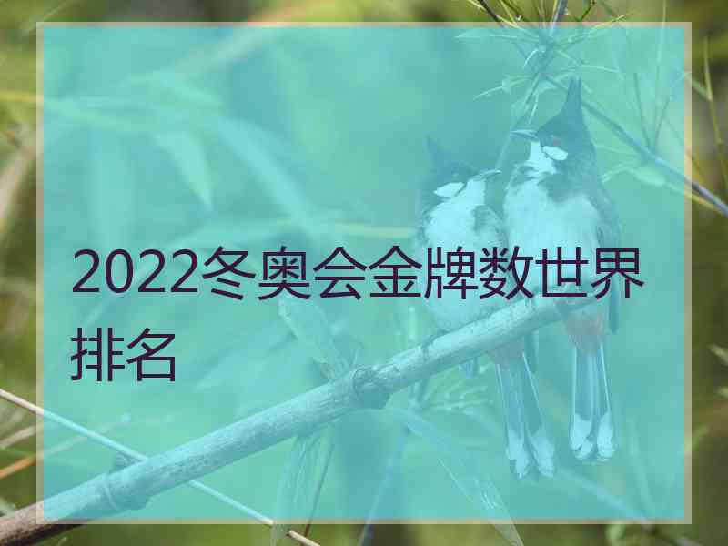 2022冬奥会金牌数世界排名