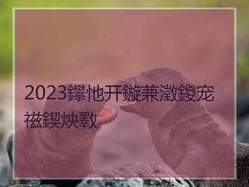 2023鑻忚开鏇兼澂鍐宠禌鍥炴斁