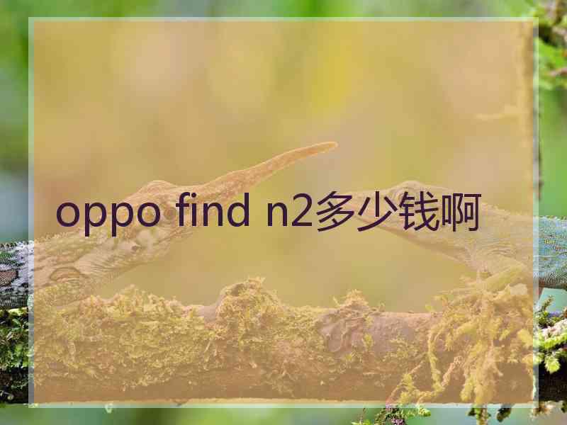 oppo find n2多少钱啊