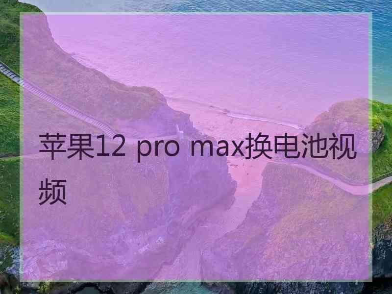 苹果12 pro max换电池视频