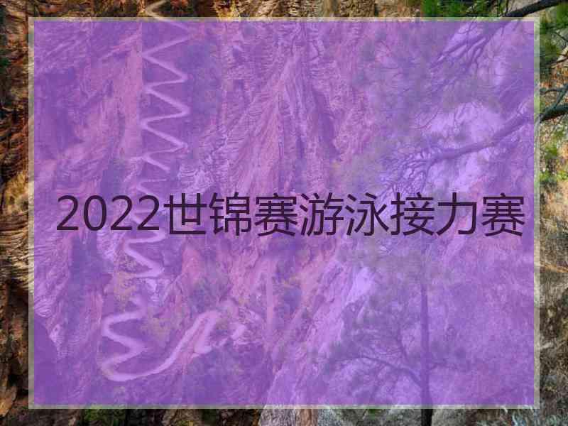 2022世锦赛游泳接力赛