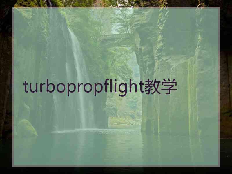 turbopropflight教学