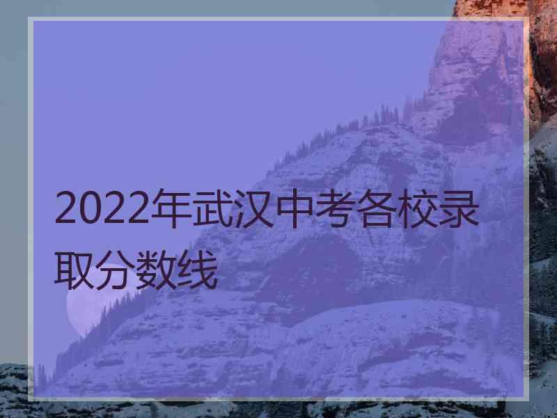 2022年武汉中考各校录取分数线