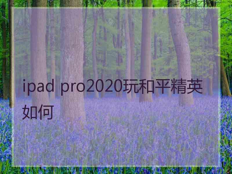 ipad pro2020玩和平精英如何