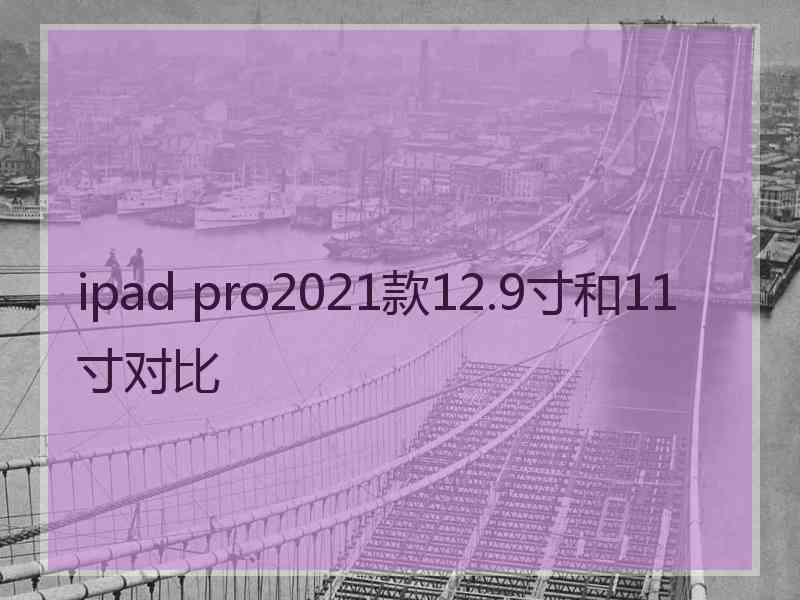 ipad pro2021款12.9寸和11寸对比