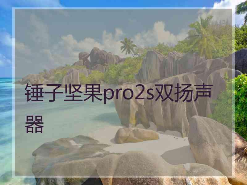 锤子坚果pro2s双扬声器