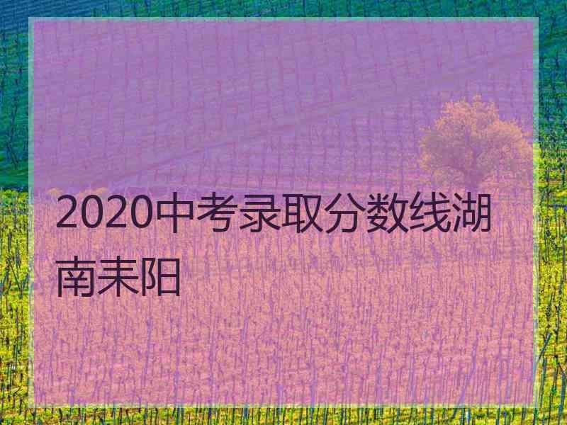 2020中考录取分数线湖南耒阳