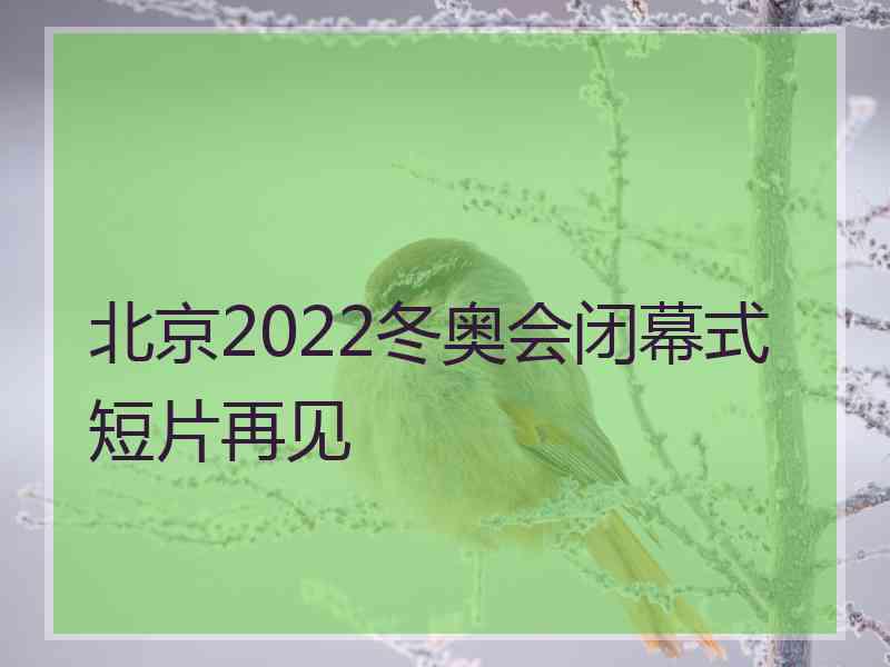 北京2022冬奥会闭幕式短片再见