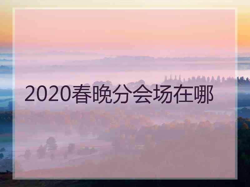 2020春晚分会场在哪