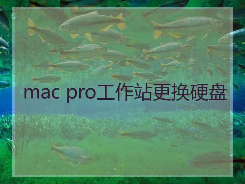 mac pro工作站更换硬盘