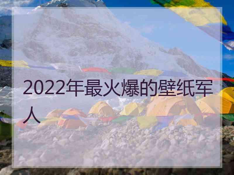 2022年最火爆的壁纸军人