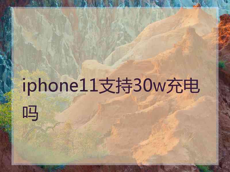 iphone11支持30w充电吗