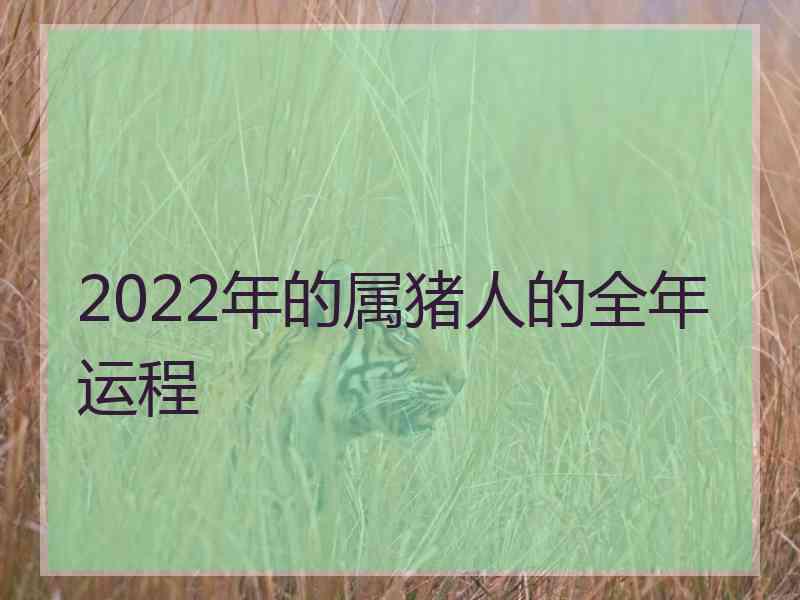 2022年的属猪人的全年运程