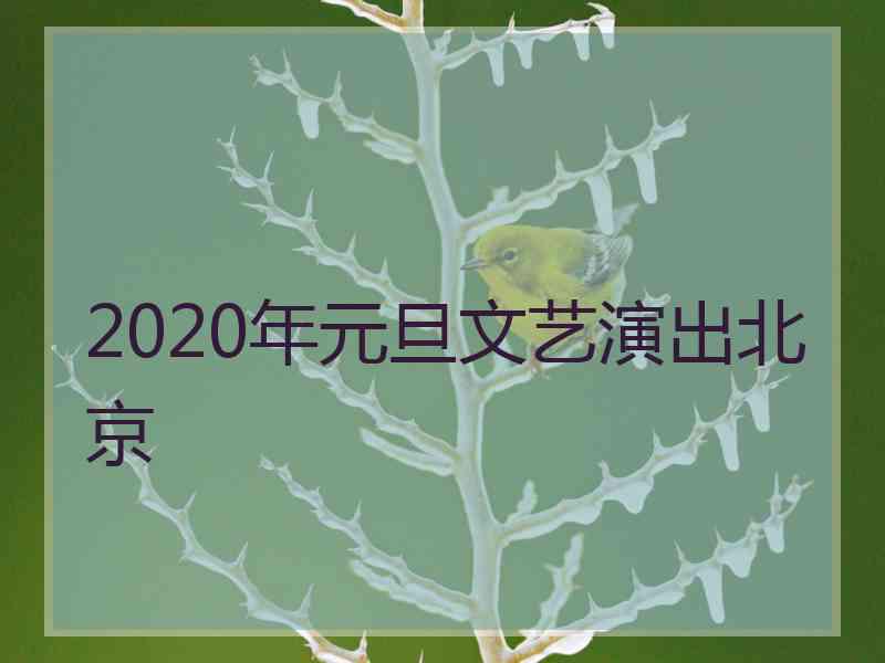 2020年元旦文艺演出北京