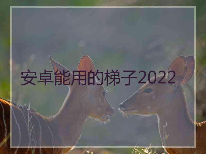 安卓能用的梯子2022