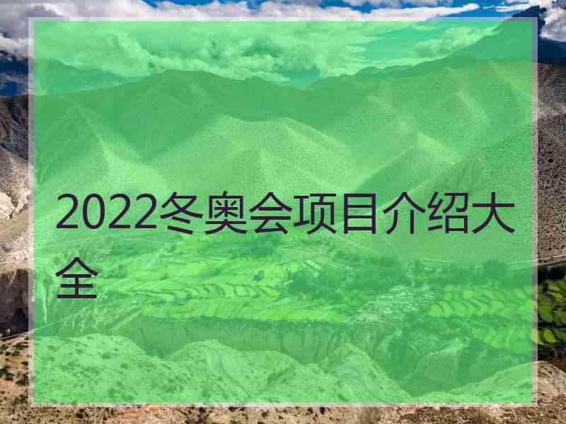 2022冬奥会项目介绍大全