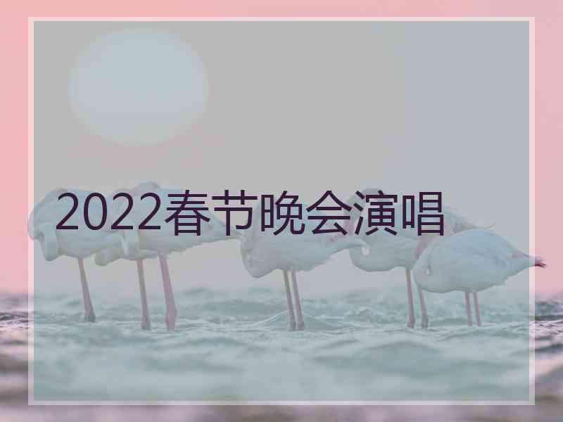 2022春节晚会演唱