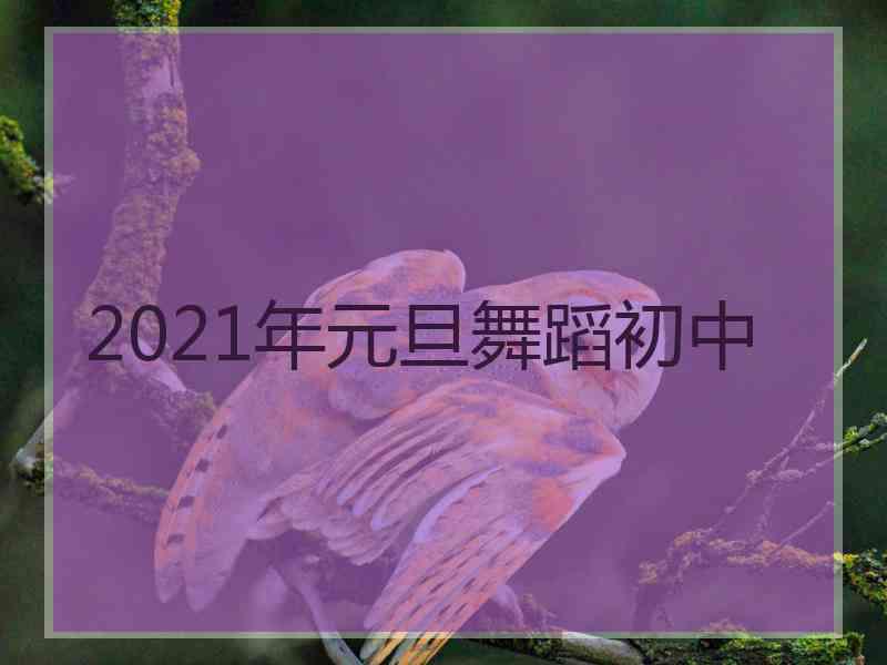 2021年元旦舞蹈初中