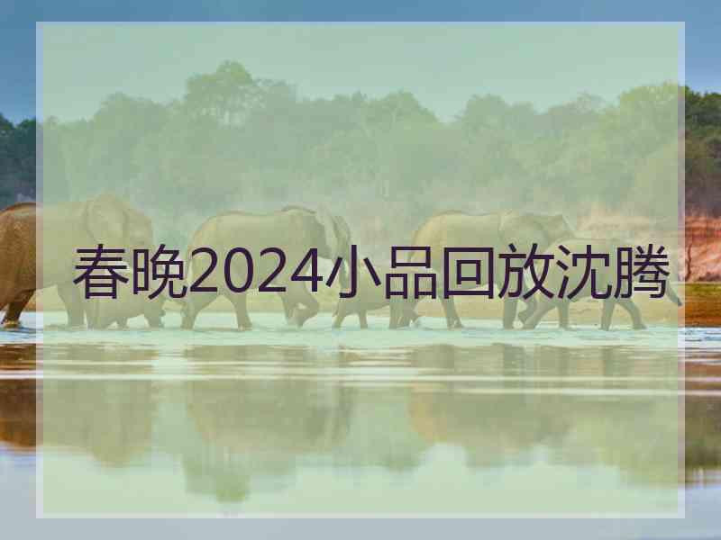 春晚2024小品回放沈腾