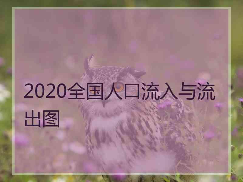 2020全国人口流入与流出图