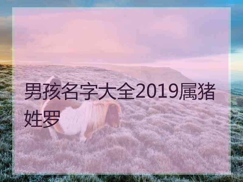 男孩名字大全2019属猪姓罗