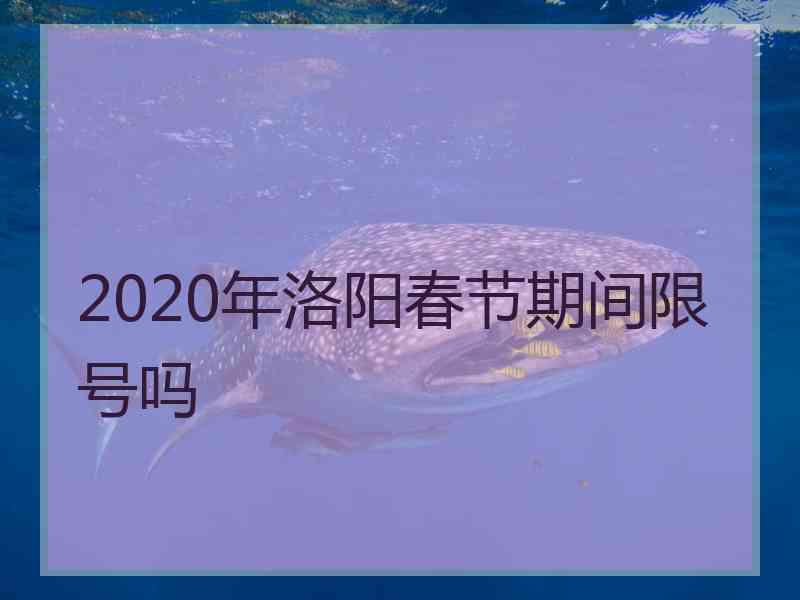 2020年洛阳春节期间限号吗