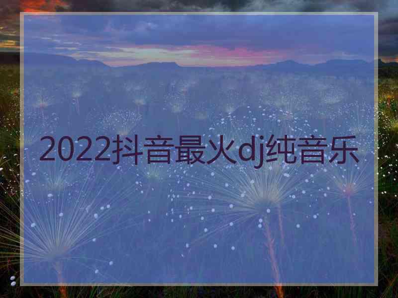 2022抖音最火dj纯音乐