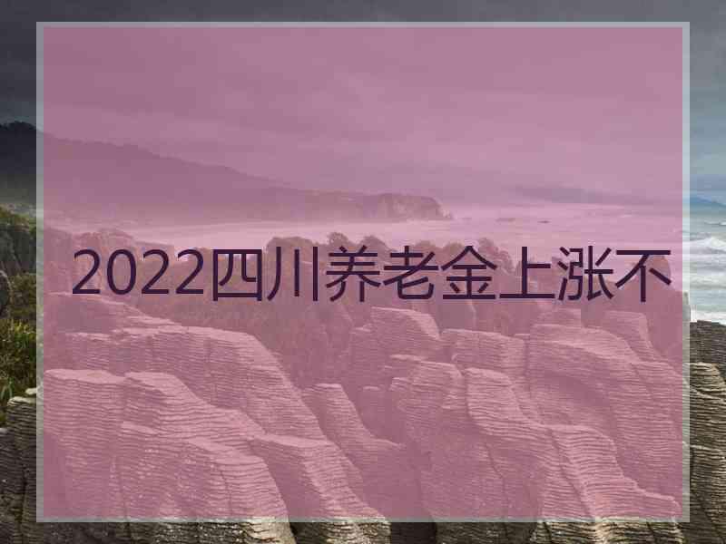 2022四川养老金上涨不