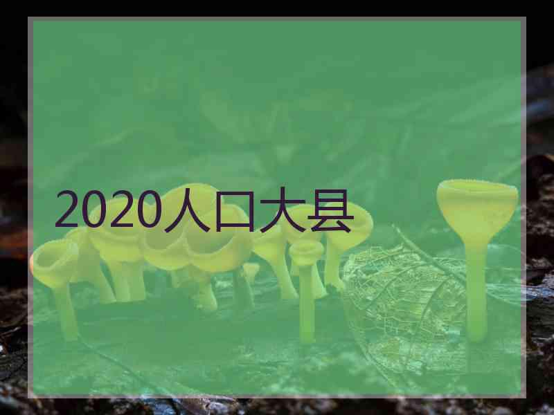 2020人口大县