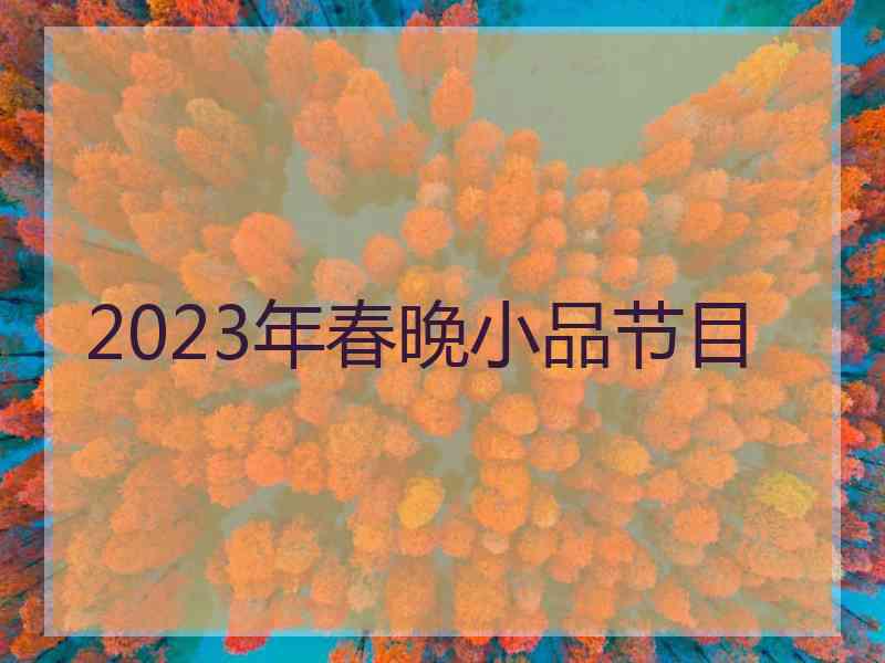 2023年春晚小品节目