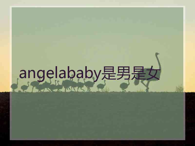 angelababy是男是女