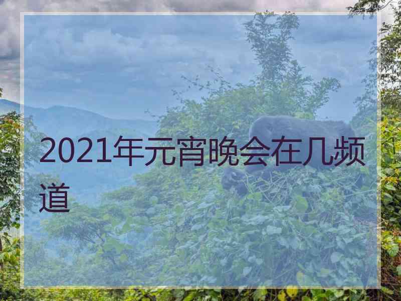 2021年元宵晚会在几频道