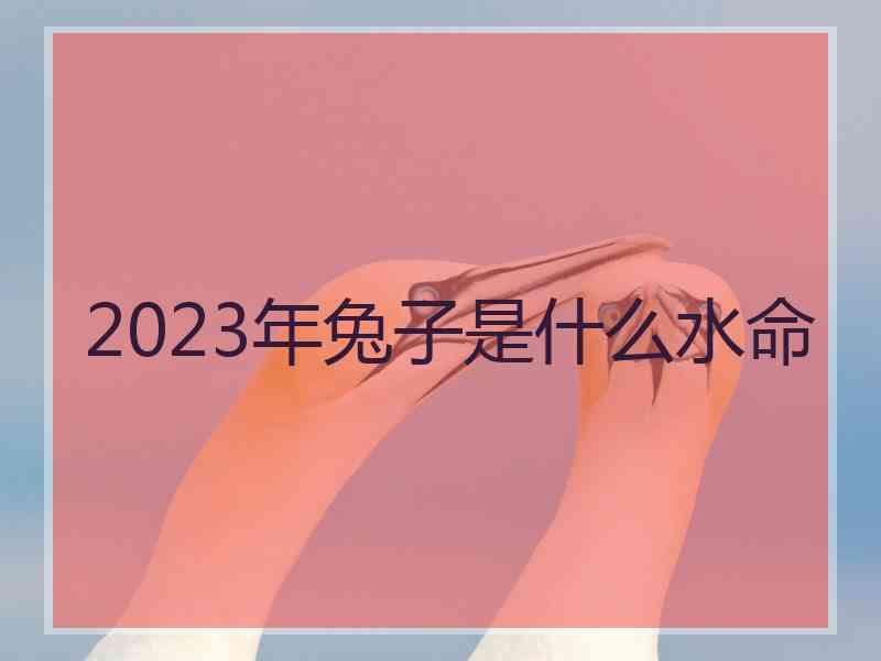 2023年兔子是什么水命